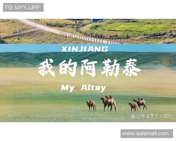 飞盘与梦想交织的旅程：吴敏的深度对话与人生启示