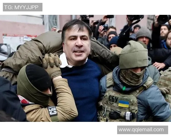 其他国家如何应对莫斯科的外交策略与地缘政治挑战