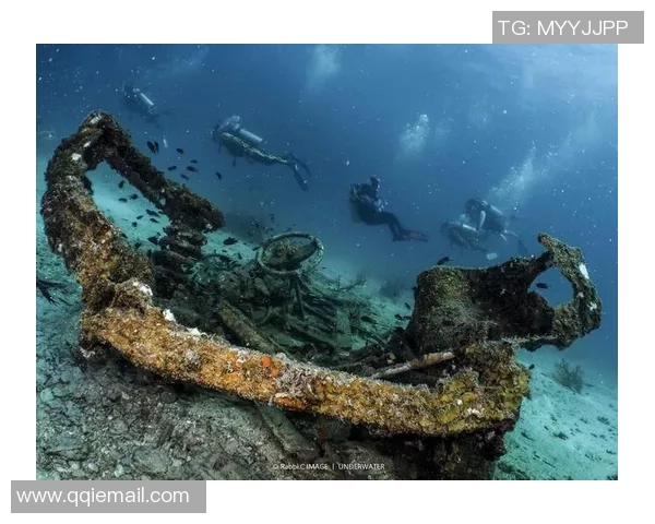 加莱诺的艺术魅力与文化影响力探讨:从历史到现代的深度解读 加莱诺的艺术魅力与文化影响力探讨:从历史到现代的深度解读