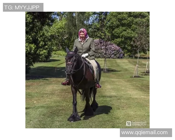 伯顿与女王训游的精彩对决揭示了骑马运动的魅力与挑战